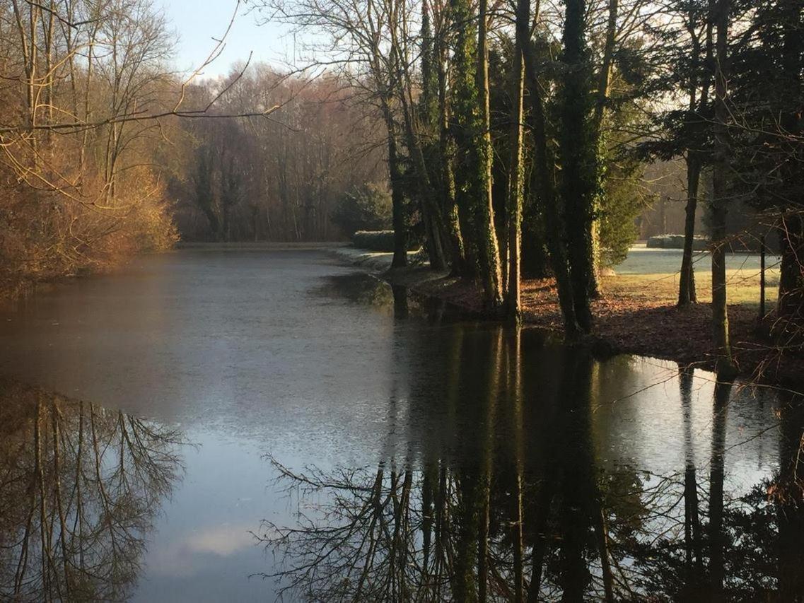 Chateau De Vitry-La-Ville Exteriör bild